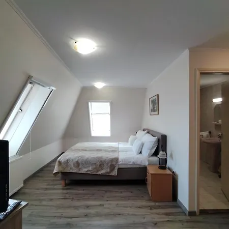 Viking 3*