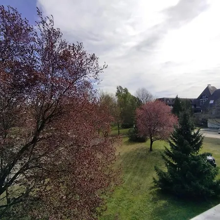 Viking Ξενοδοχείο με διαμερίσματα 3*