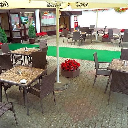 Viking 3* Гардонь