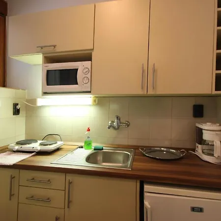 Apartmanhotel Viking