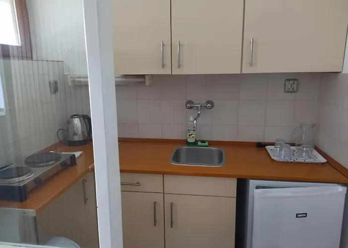 Viking Hotel apartamentowy 3*