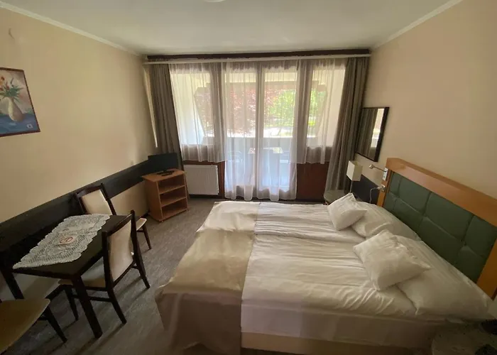 Viking Hotel apartamentowy