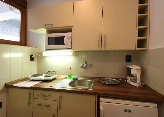 Hotel apartamentowy Viking